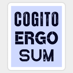 René Descartes quote: Cogito, ergo sum (dark text) Sticker